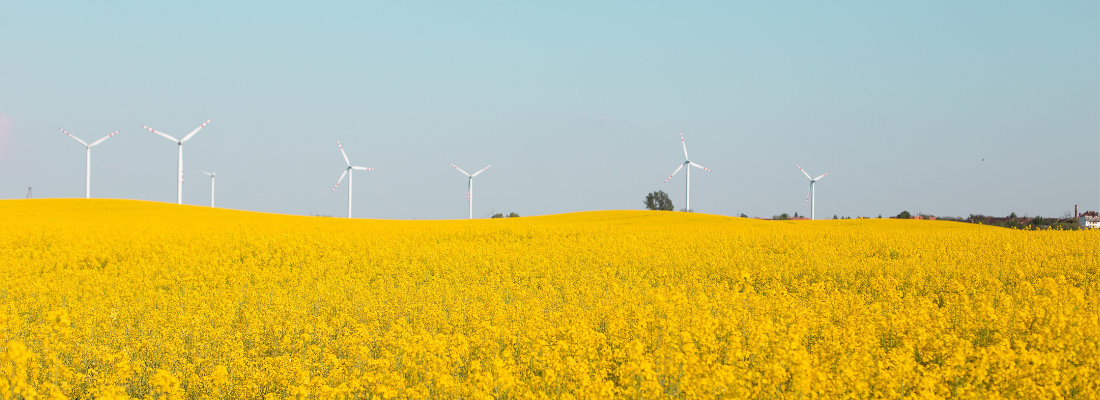 comment mesurer le développement durable