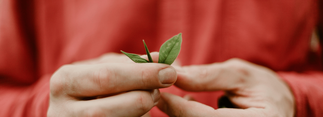 Ecovadis : comment ça marche ?