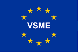 vsme