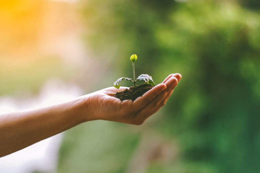 Les enjeux du développement durable et comment s’adapter ?
