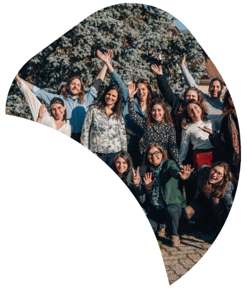 petale 5 Benchmark Impact Social